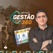 Gestão 360P